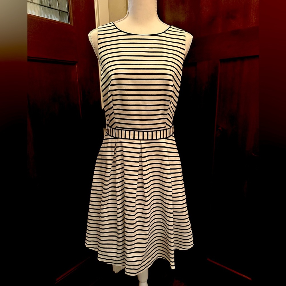 THE LIMITED Belted Fit & Flare Dress